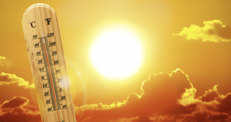 VIPD and VIOHS Shed Light on Pediatric Vehicular Heatstroke